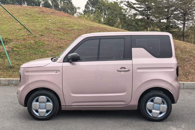 Used  Panda 2023 Panda Mini 200km Endurance Bear
