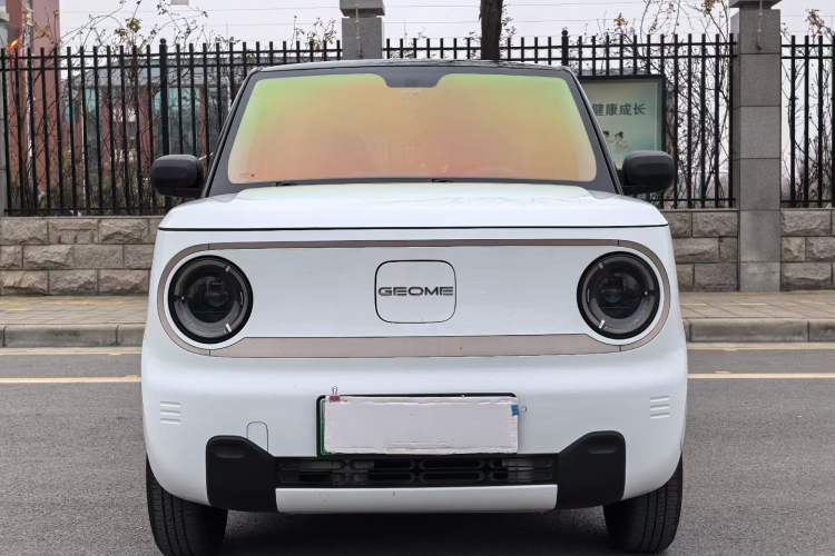 Used  Panda 2023 Panda Mini 200km Endurance Bear