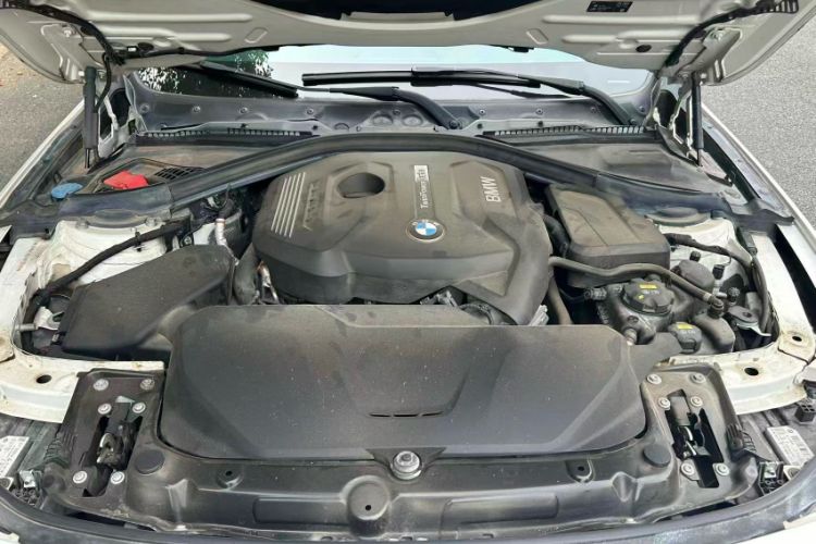 Used BMW 3 Series 2019 320Li M Sport Package
