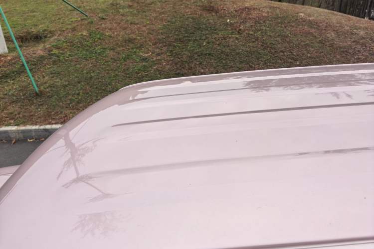 Used  Panda 2023 Panda Mini 200km Endurance Bear
