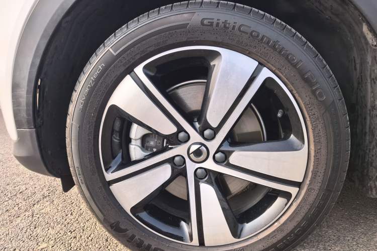 Used  #1 2024 Dynamic Standard Edition