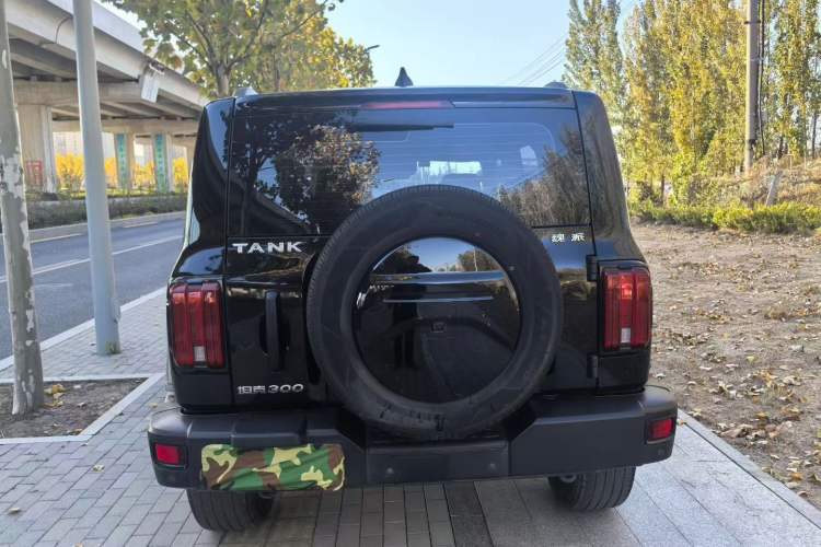 Used Tank 300 2021 Off-Road Edition 2.0T Conqueror
