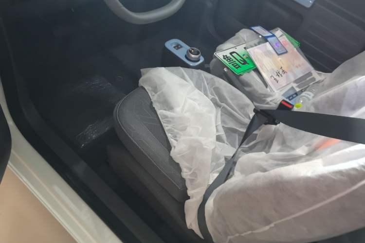 Used  Panda 2024 Panda Mini 200km Endurance Bear
