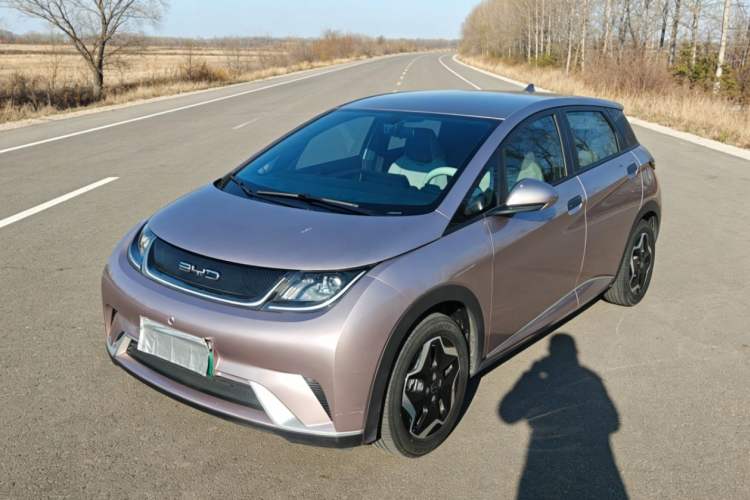 Used BYD Dolphin 2021 405 km Free Version
