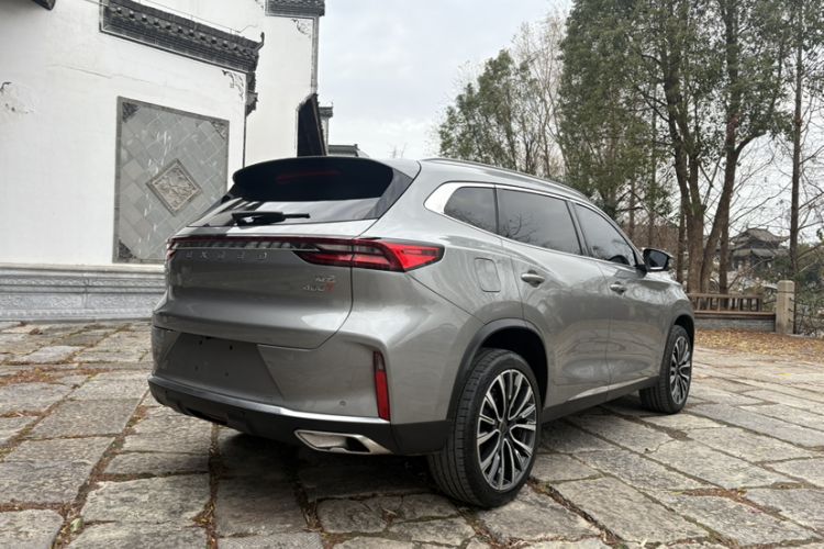 Used  Lingyun 2024 400T Two-Wheel-Drive Star Prestige Edition
