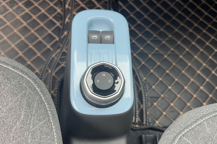 Used  Panda 2024 Panda Mini 200km Endurance Bear
