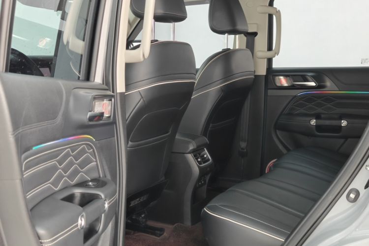 Used Tank 300 2024 2.0T Conqueror
