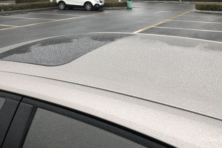 Used Toyota Corolla 2019 1.2T S-CVT GL-i Elite Edition
