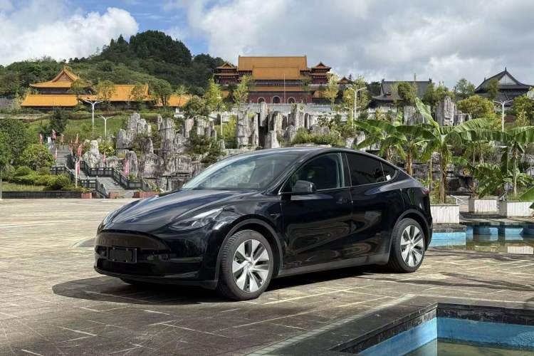 Used Tesla Model Y 2021 Standard Range Rear-Wheel Drive Version