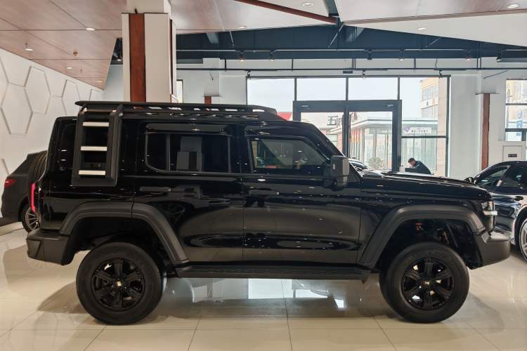 Used Tank 300 2024 2.0T Conqueror