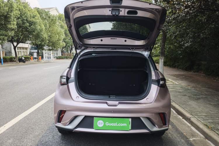 Used BYD Dolphin 2021 405 km Fashion Edition
