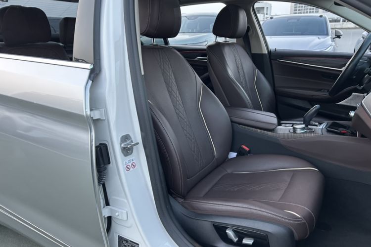 Used BMW 5 Series New Energy 2019 530Le Luxury Package
