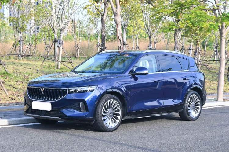 Used VOYAH FREE 2021 Four-Wheel Drive Standard Range-Extended Exclusive Luxury Package