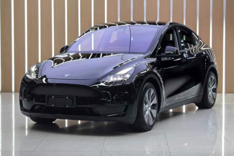 Used Tesla Model Y 2021 Standard Range Rear-Wheel Drive Version
