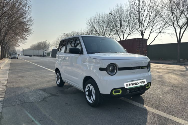 Used  Panda 2025 210 km – Yuanqi Bear