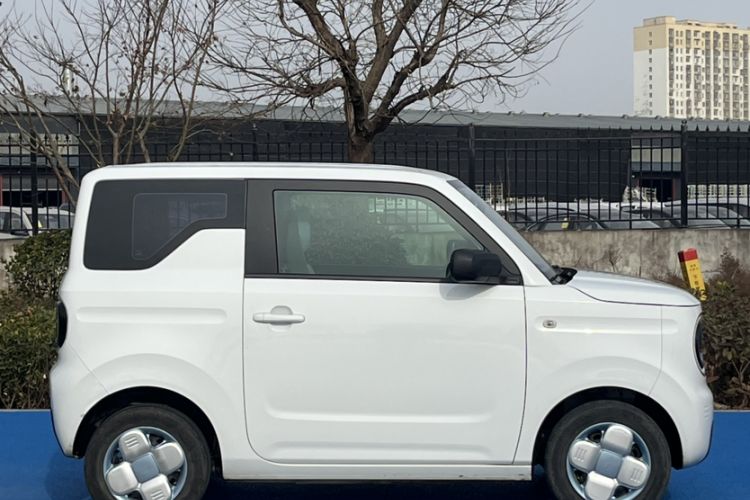 Used  Panda 2023 Panda Mini 200km Endurance Bear
