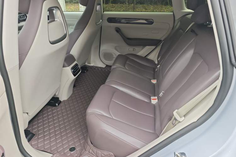 Used Leapmotor C11 2023 Pure Electric 500 Comfort Edition
