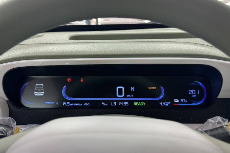 Used  Panda 2025 210km Panda Rider