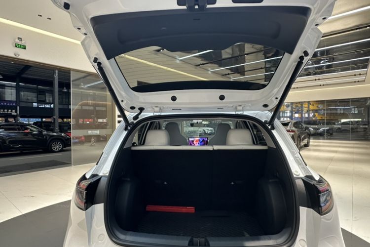 Used  Geome 2025 310km Dream Edition
