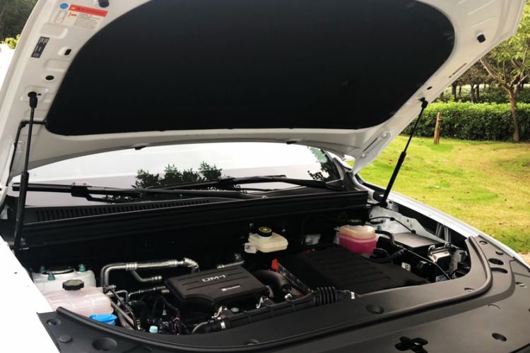 Used BYD Sealion 05 DM-i 2025 DM-i 115KM Flagship Model
