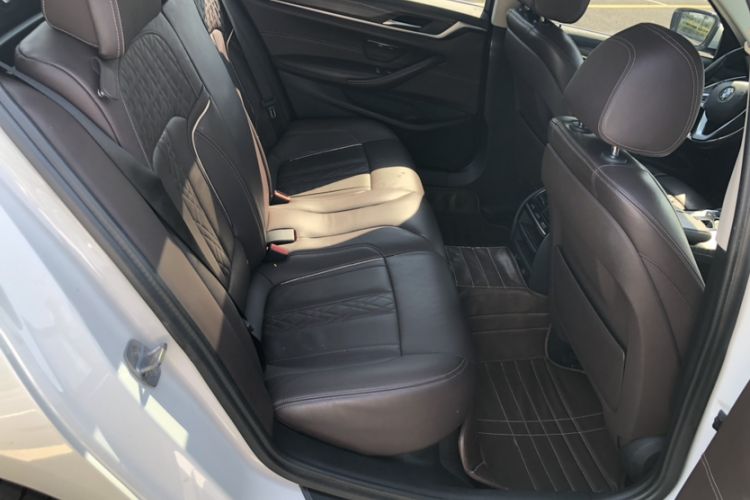 Used BMW 5 Series New Energy 2019 530Le Luxury Package
