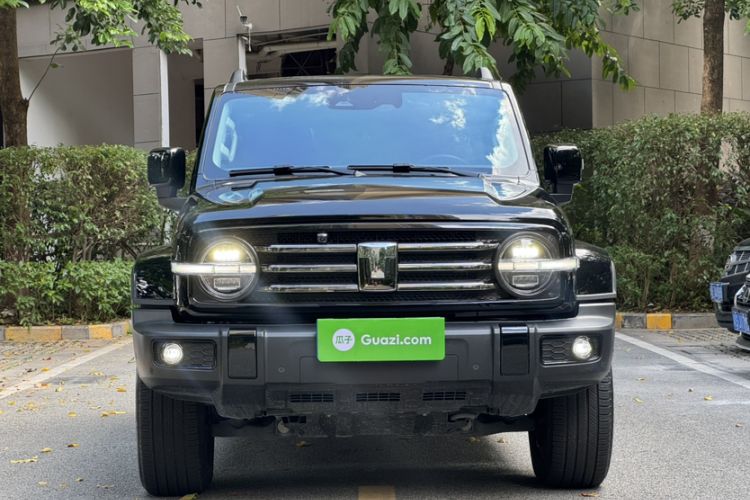 Used Tank 300 2024 2.0T Crosser
