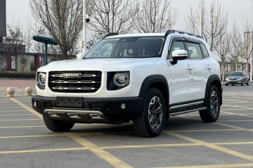 Used Haval DARGO 2021 2.0T DCT 4x4 Chinese Rural Dog Edition