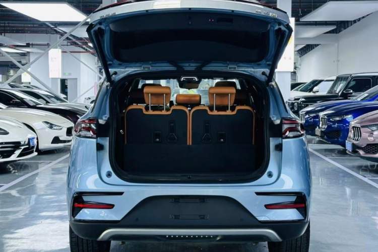 Used BYD Tang New Energy 2023 DM-i Champion Edition 112KM Prestige Model
