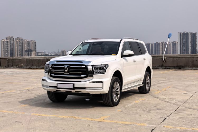 Used Tank 500 New Energy 2025 Hi4-Z
