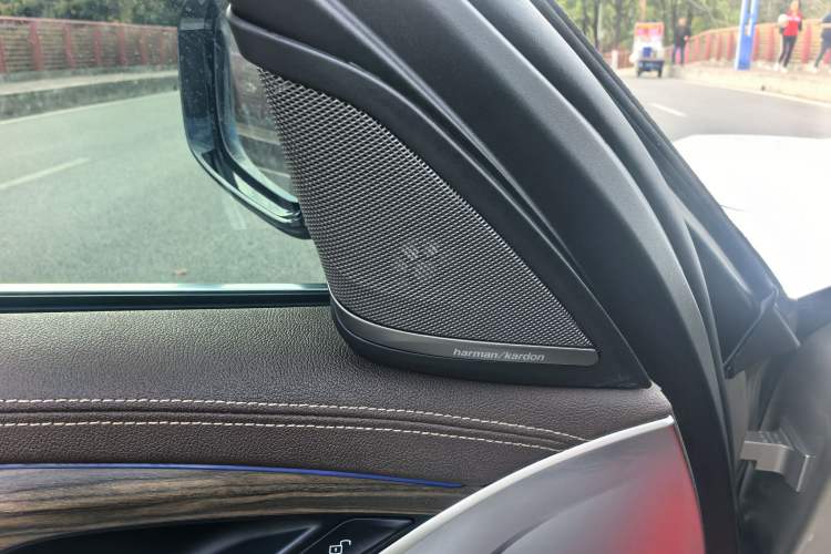 Used BMW 5 Series New Energy 2020 530Le Luxury Package