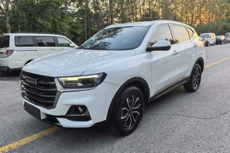 Used Haval H6 2021 National Trend Edition 1.5T Automatic Urban Version