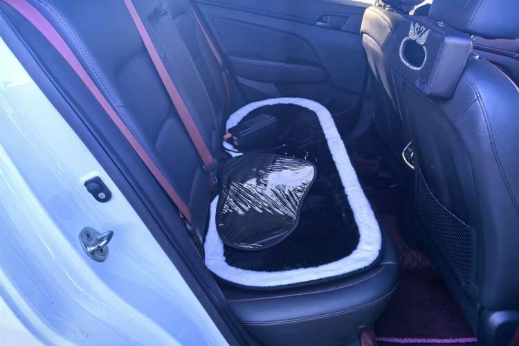 Used Hyundai Elantra 2019 1.4T Dual-Clutch Xuan Dong · Dynamic Model
