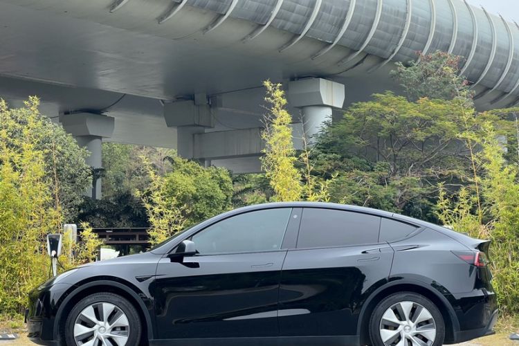 Used Tesla Model Y 2022 Rear-Wheel-Drive Version