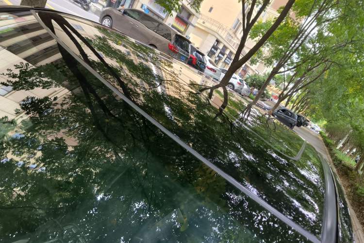 Used Honda Avancier 2017 240TURBO Two-Wheel Drive Luxury Edition