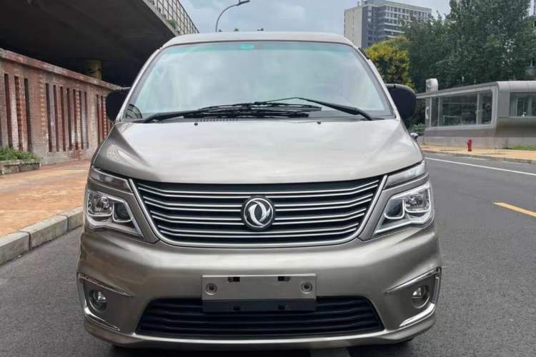 Used FORTHING Lingzhi 2020 M5L 1.6L Base Model 7 Seats
