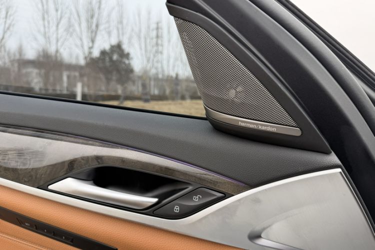 Used BMW 5 Series 2018 530Li Leading Model M Sport Package
