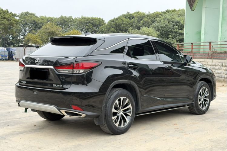 Used Lexus RX 2020 Revised Version 300 Two-Wheel Drive Comfort Edition