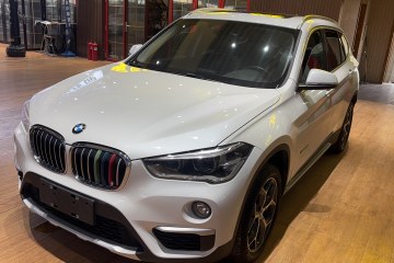 Used BMW X1 2018 xDrive20Li Luxury Edition