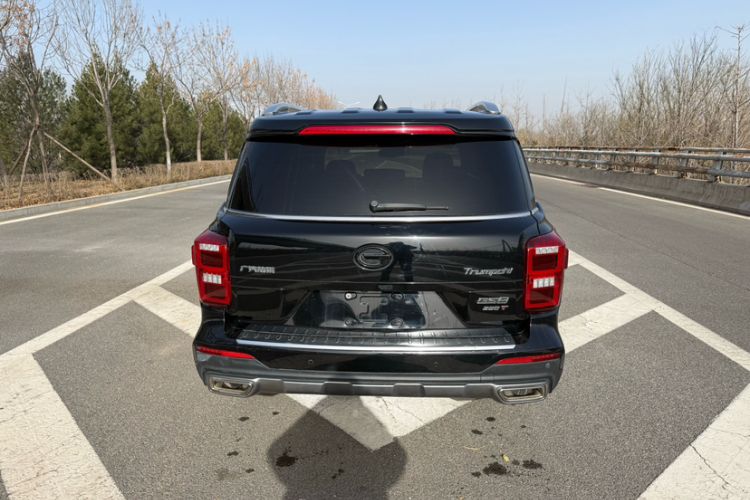 Used GAC Trumpchi GS8 2020 390T Two-Wheel Drive Luxury Smart Connectivity Version (7 Seats)