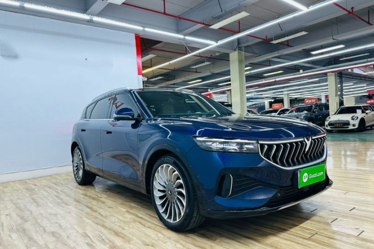 Used VOYAH FREE 2021 Four-Wheel Drive Standard Range-Extended Version
