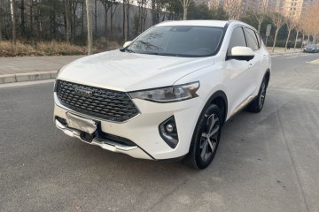Used Haval F7 2020 1.5T Two-Wheel Drive i-Trend