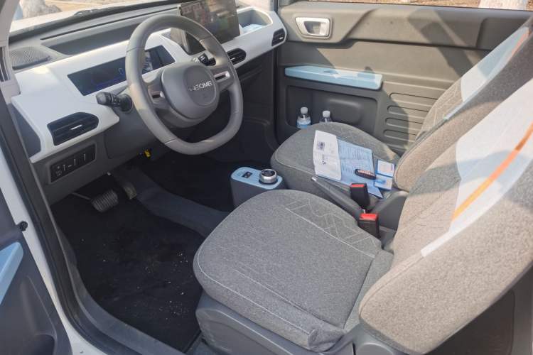 Used  Panda 2023 Panda Mini 200km Endurance Bear
