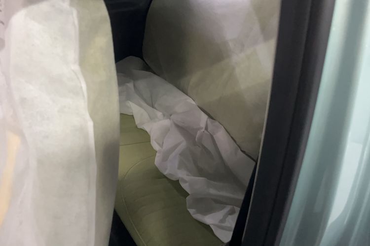 Used  Panda 2024 Panda Mini 200km Endurance Bear