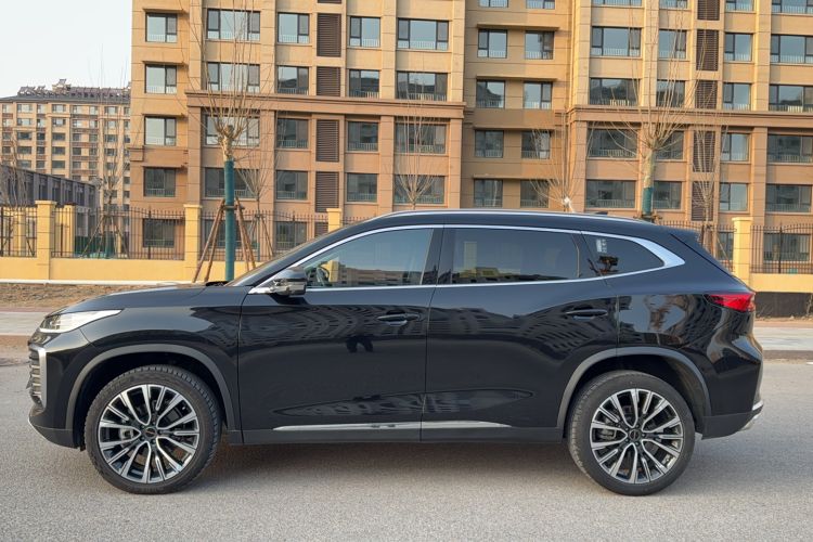 Used  Lingyun 2024 400T Two-Wheel-Drive Star Prestige Edition