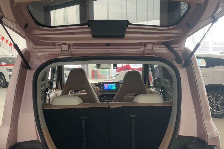 Used  Panda 2023 Panda Mini 200km Endurance Bear