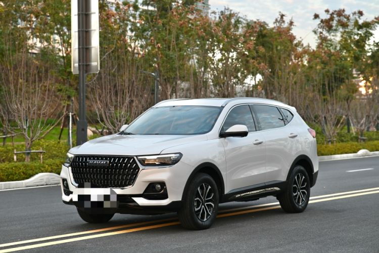 Used Haval H6 2023 National Trend Edition 1.5T Automatic Urban Version
