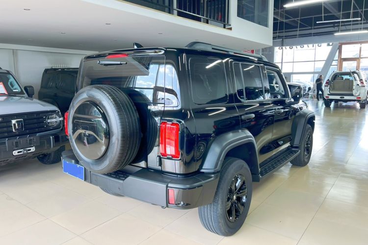 Used Tank 300 2024 2.0T Conqueror
