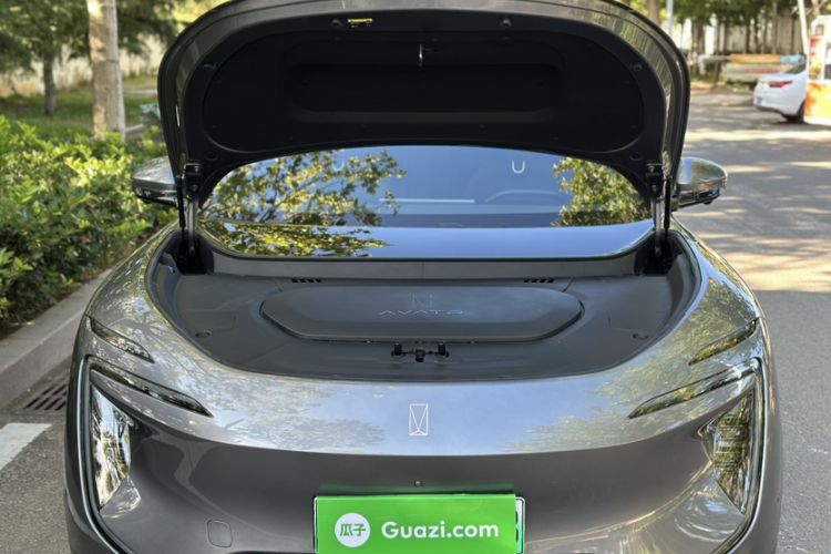 Used  07 2024 Max Extended-Range Edition
