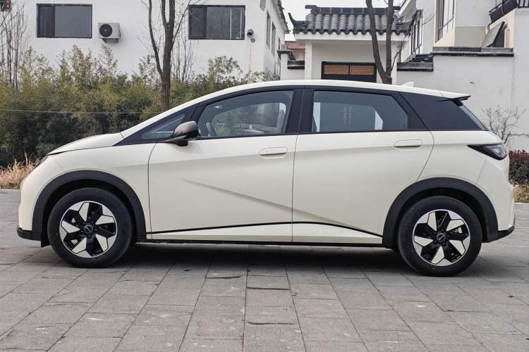 Used BYD Dolphin 2025 420km Free Edition
