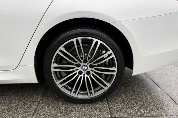 Used BMW 5 Series 2019 530Li Leading Model M Sport Package
